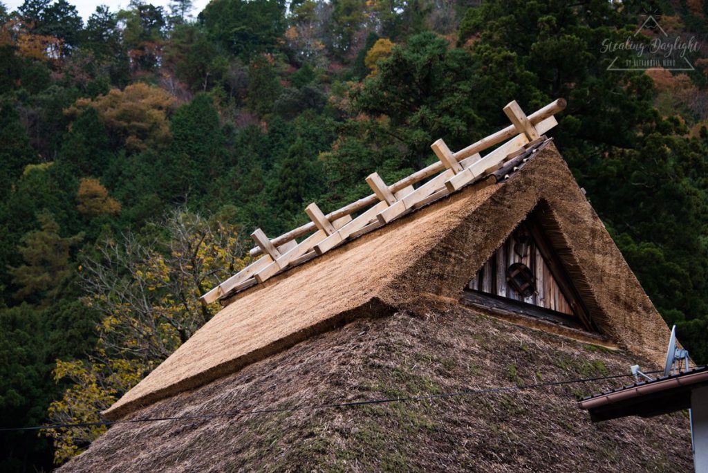 美山町