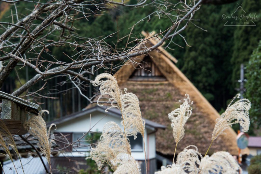 美山町