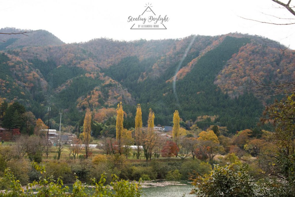 美山町