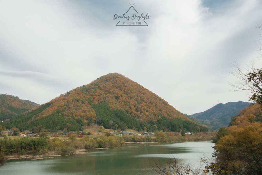 美山町