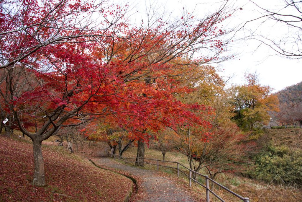 美山町 大野水壩