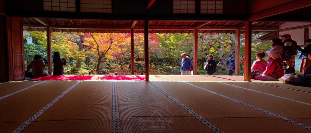 圓光寺 紅葉
