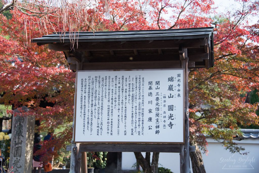 圓光寺 紅葉
