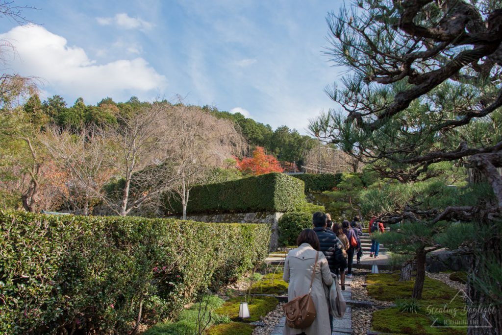 圓光寺 紅葉