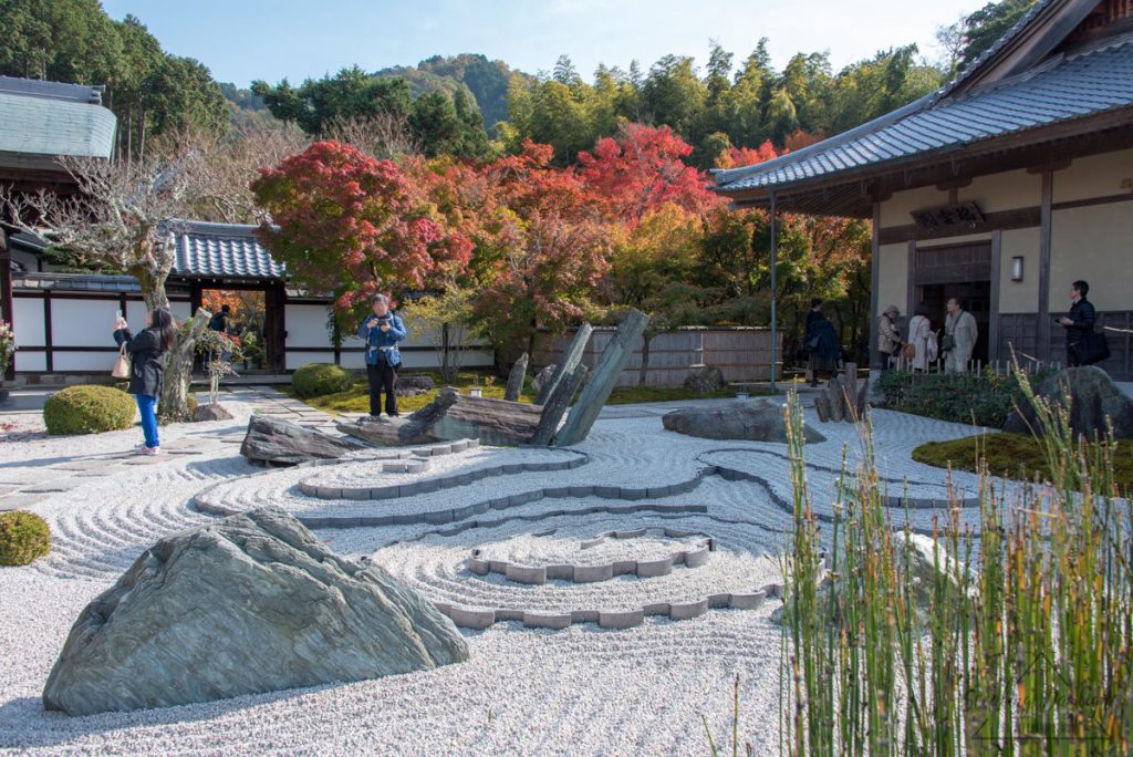 圓光寺 紅葉