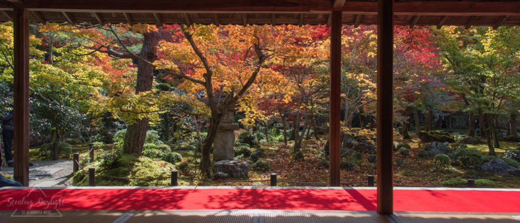 圓光寺 紅葉