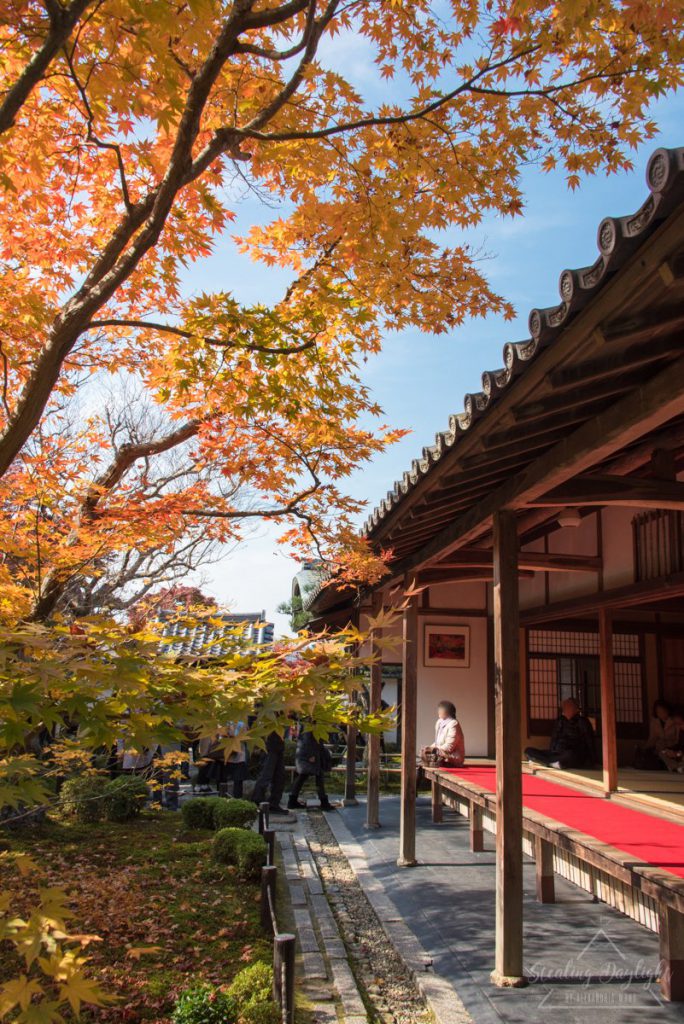 圓光寺 紅葉