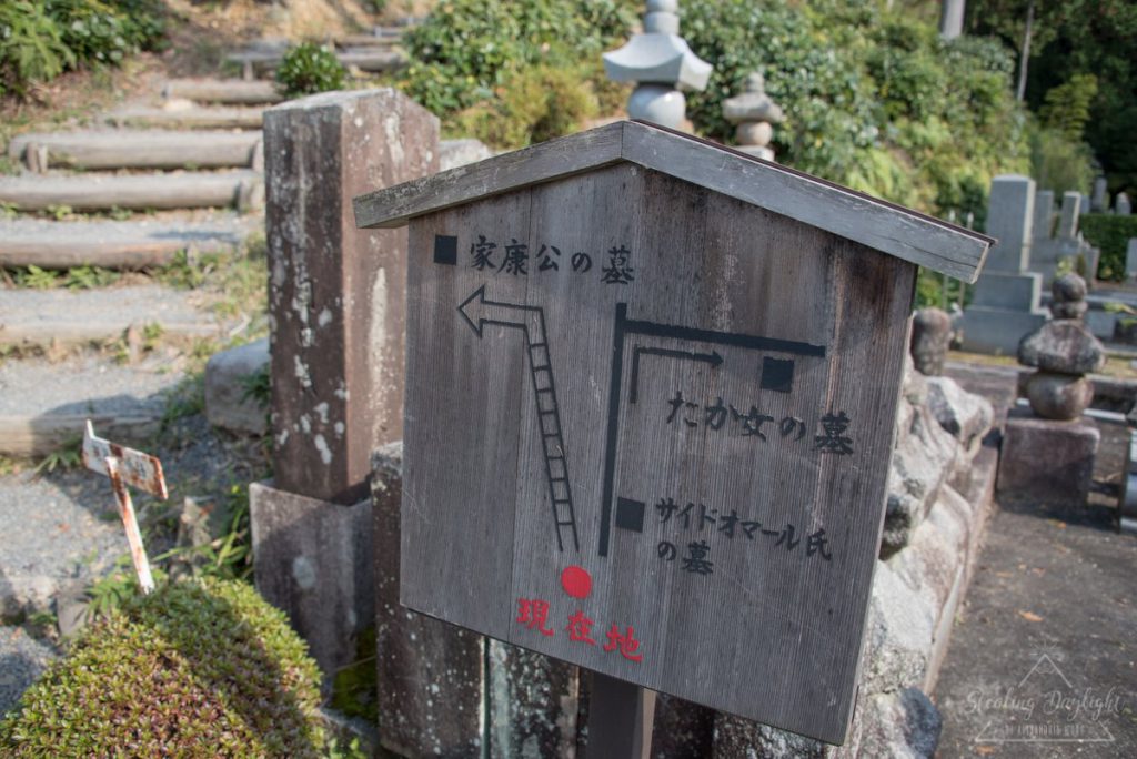 圓光寺 紅葉