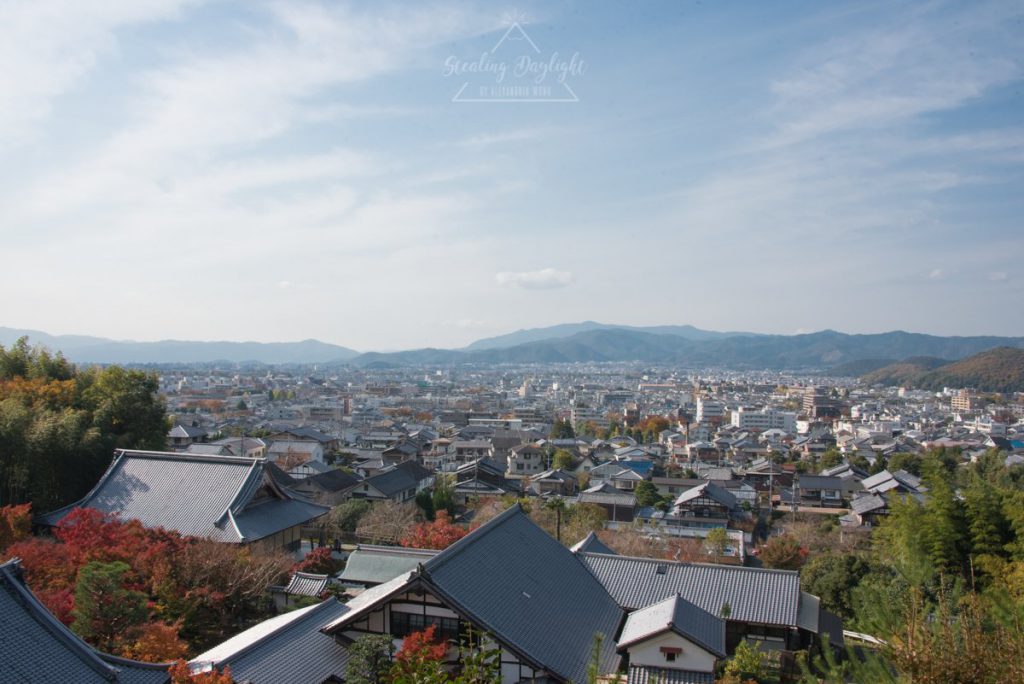 圓光寺 紅葉