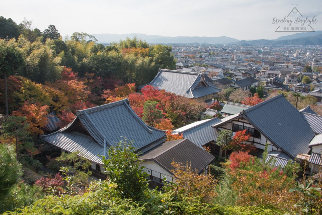 圓光寺 紅葉