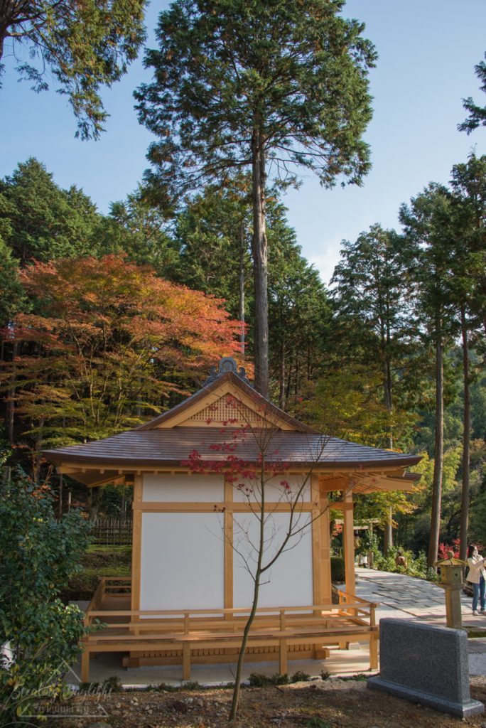圓光寺 紅葉