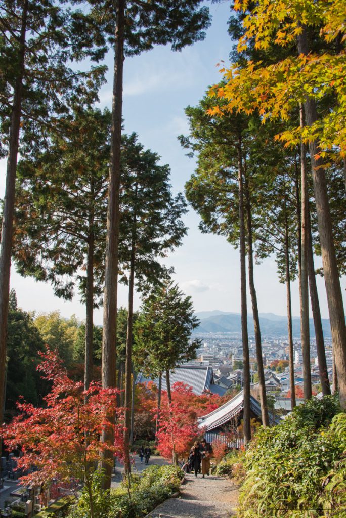 圓光寺 紅葉