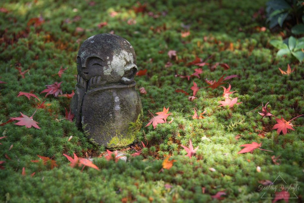 圓光寺 紅葉