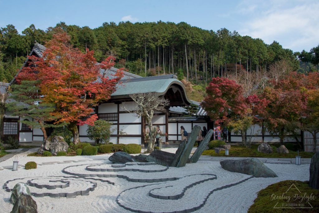 圓光寺 紅葉