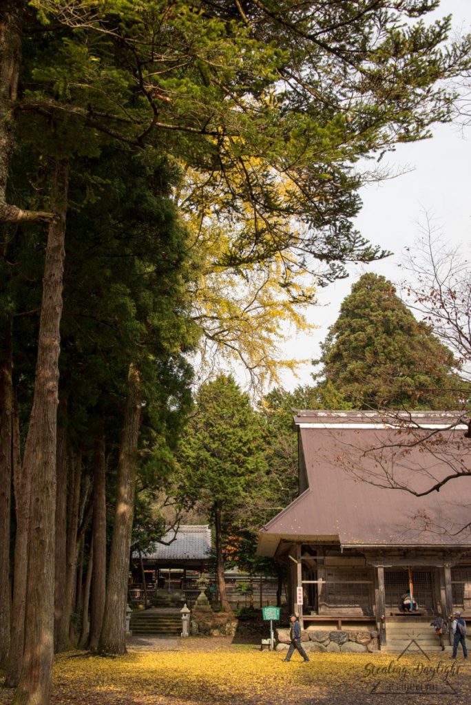 滋賀 與志漏神社