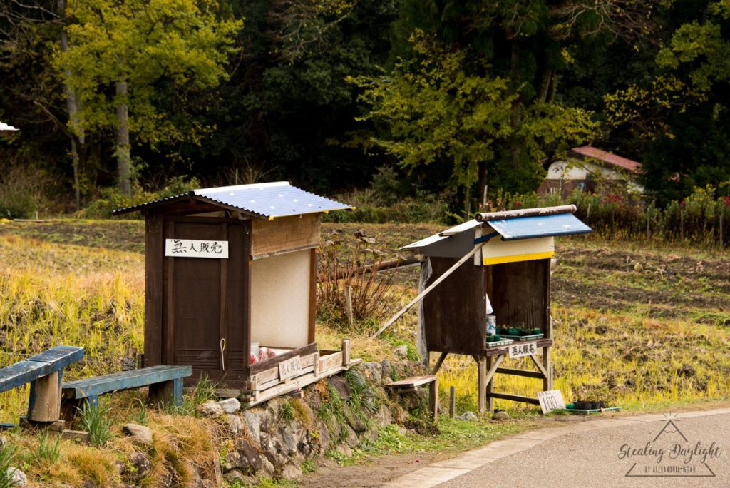 滋賀 雞足寺