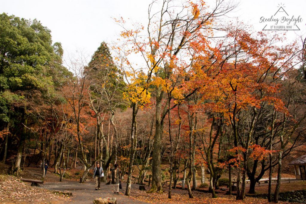 滋賀 雞足寺