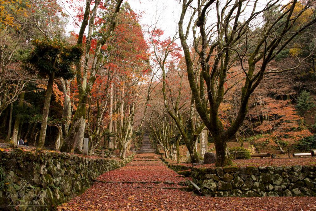 滋賀 雞足寺