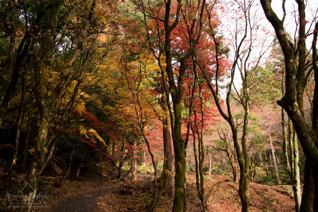 滋賀 雞足寺