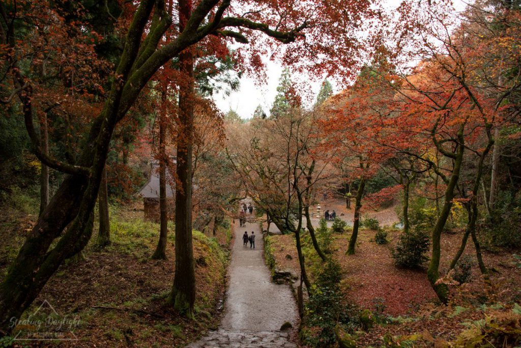 滋賀 雞足寺
