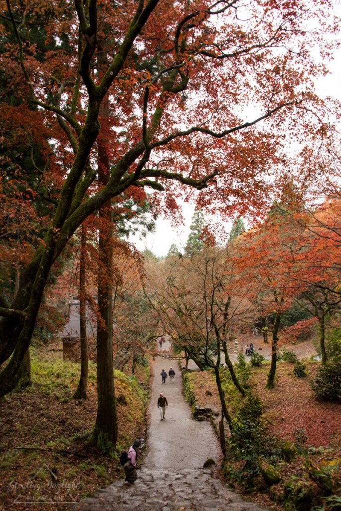 滋賀 雞足寺