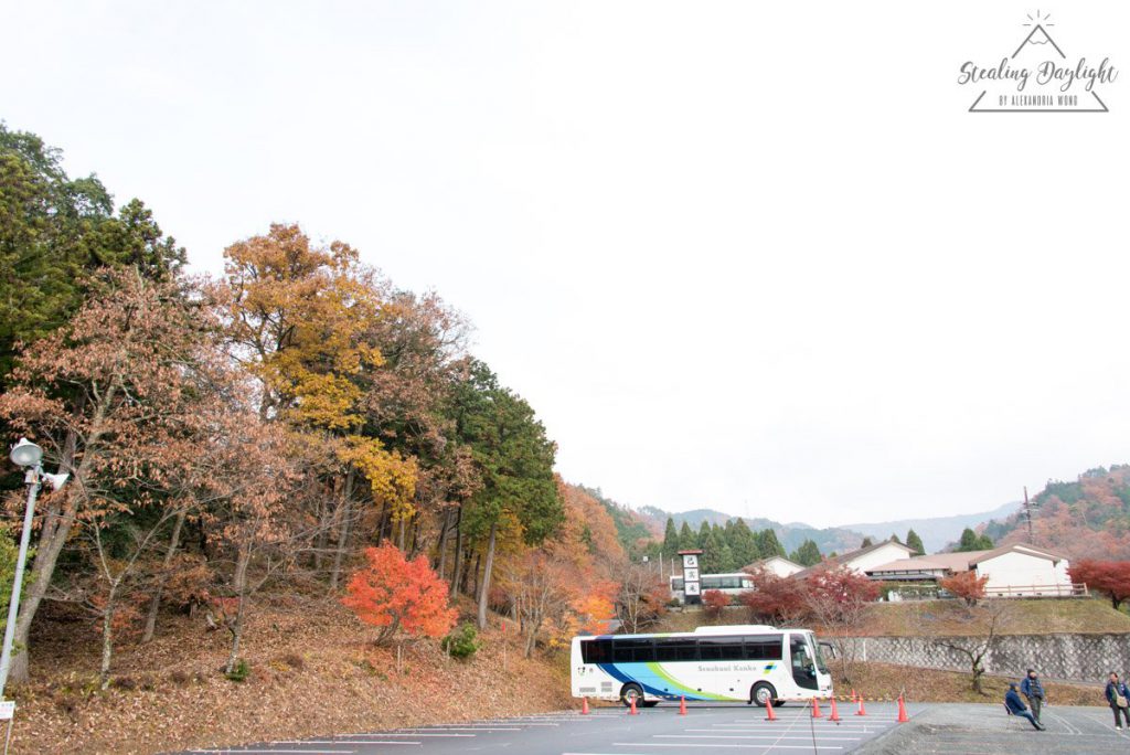 滋賀 雞足寺 與志漏神社 紅葉