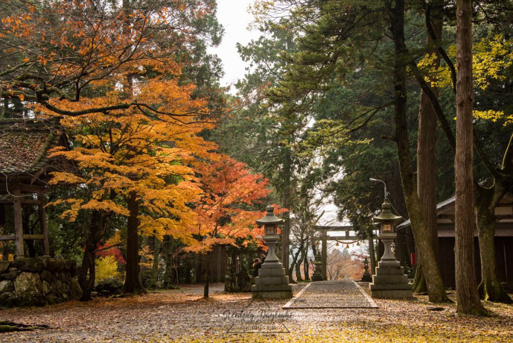 滋賀 雞足寺 與志漏神社 紅葉