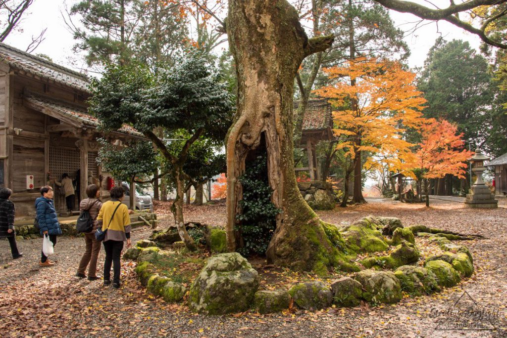 滋賀 雞足寺 與志漏神社 紅葉
