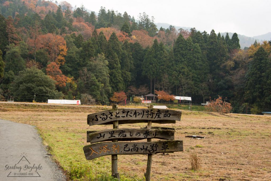 滋賀 雞足寺 紅葉