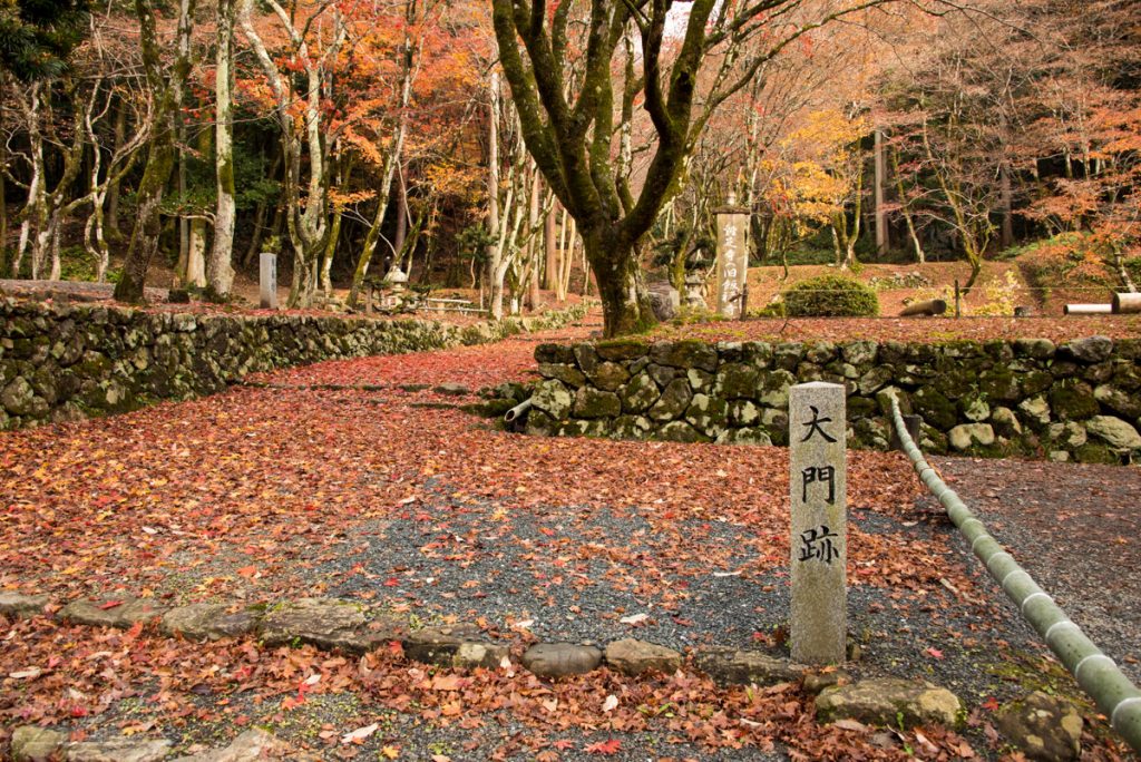 滋賀 雞足寺 紅葉