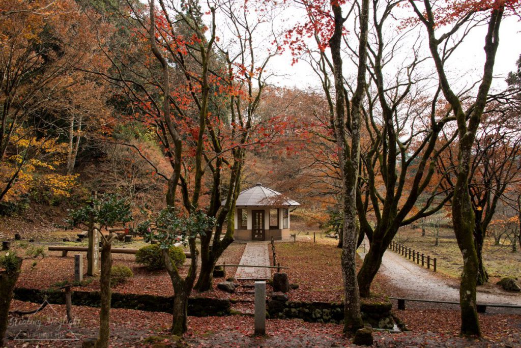 滋賀 雞足寺 紅葉