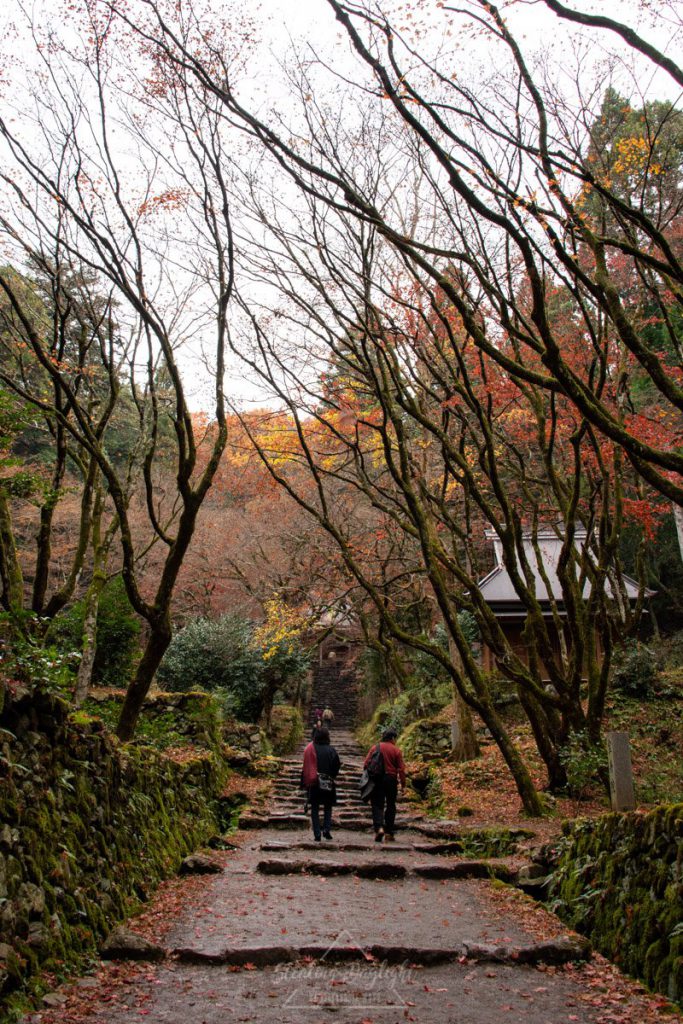 滋賀 雞足寺 紅葉