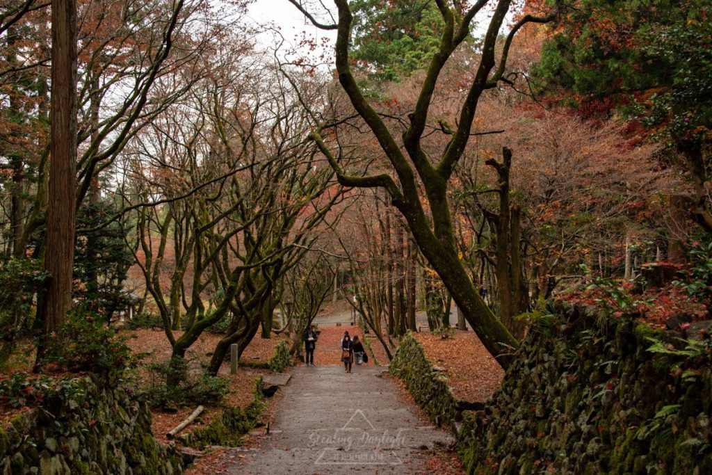 滋賀 雞足寺 紅葉