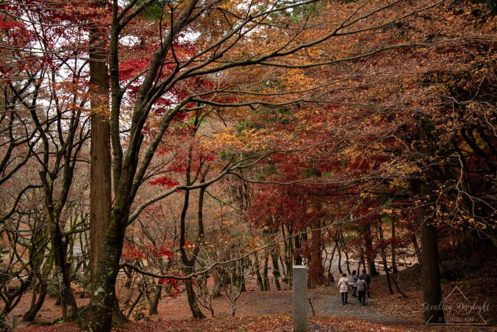 滋賀 雞足寺 紅葉
