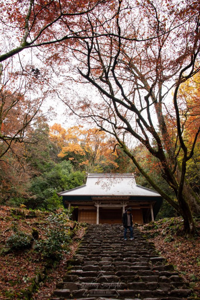 滋賀 雞足寺 紅葉