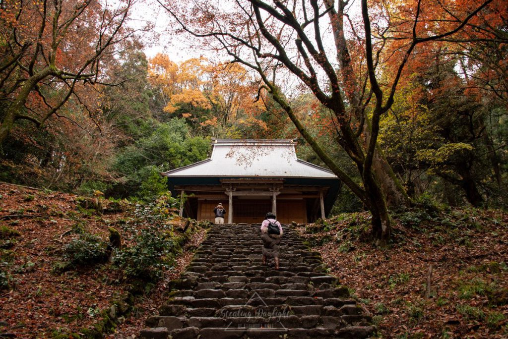 滋賀 雞足寺 紅葉