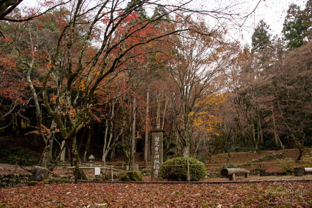 滋賀 雞足寺 紅葉