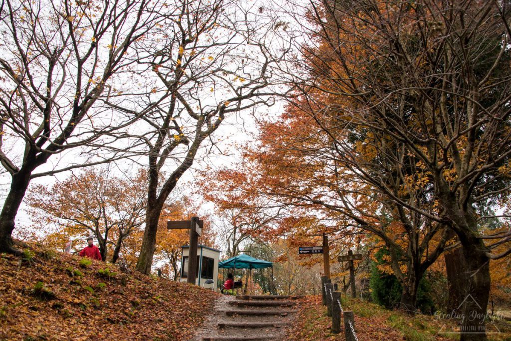 滋賀 雞足寺 石道寺