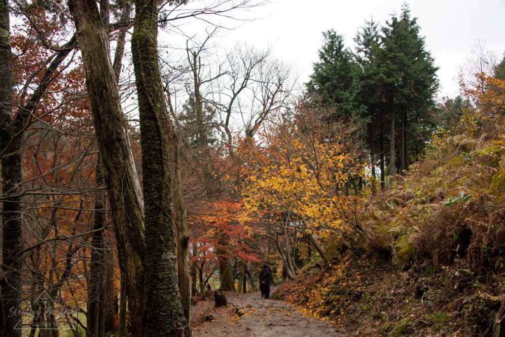 滋賀 石道寺 紅葉