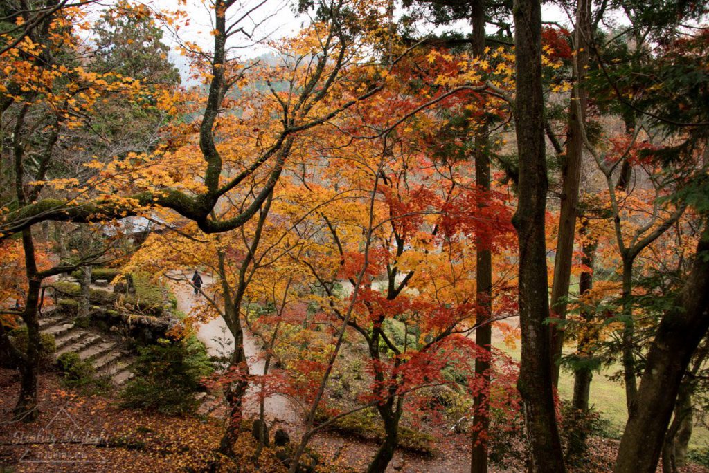 滋賀 石道寺 紅葉