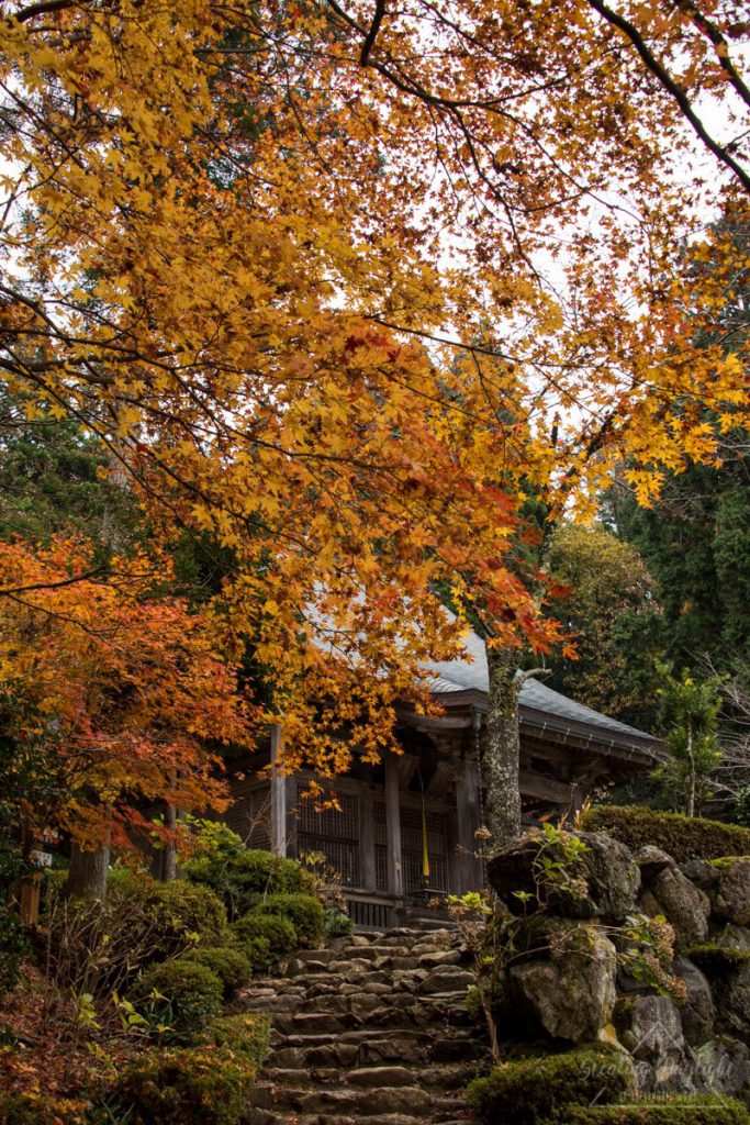 滋賀 石道寺 紅葉