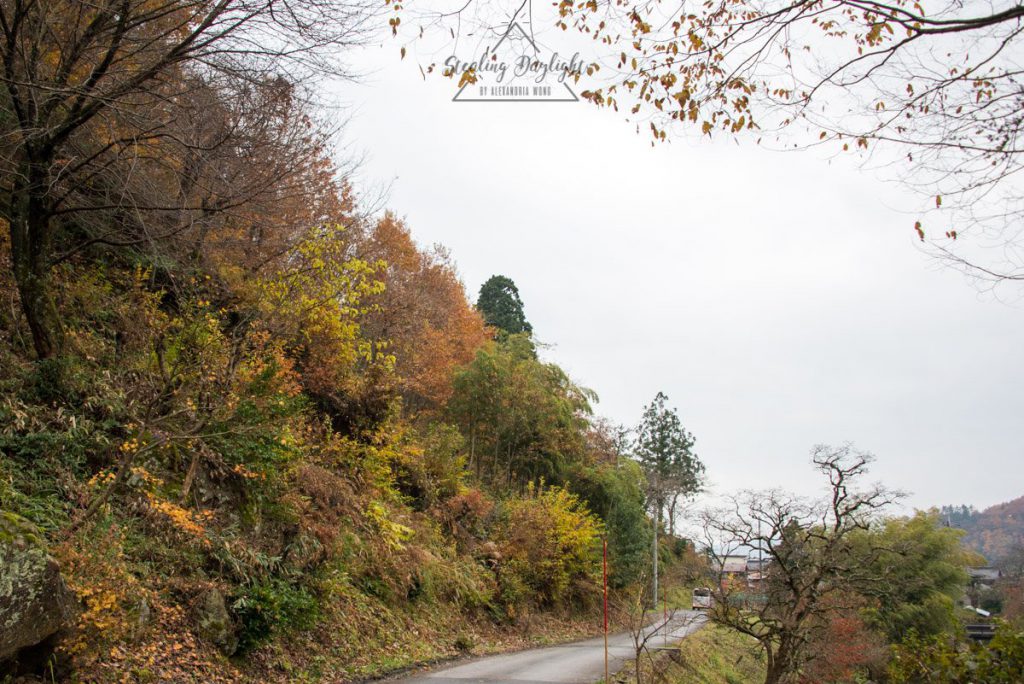 滋賀 石道寺 紅葉
