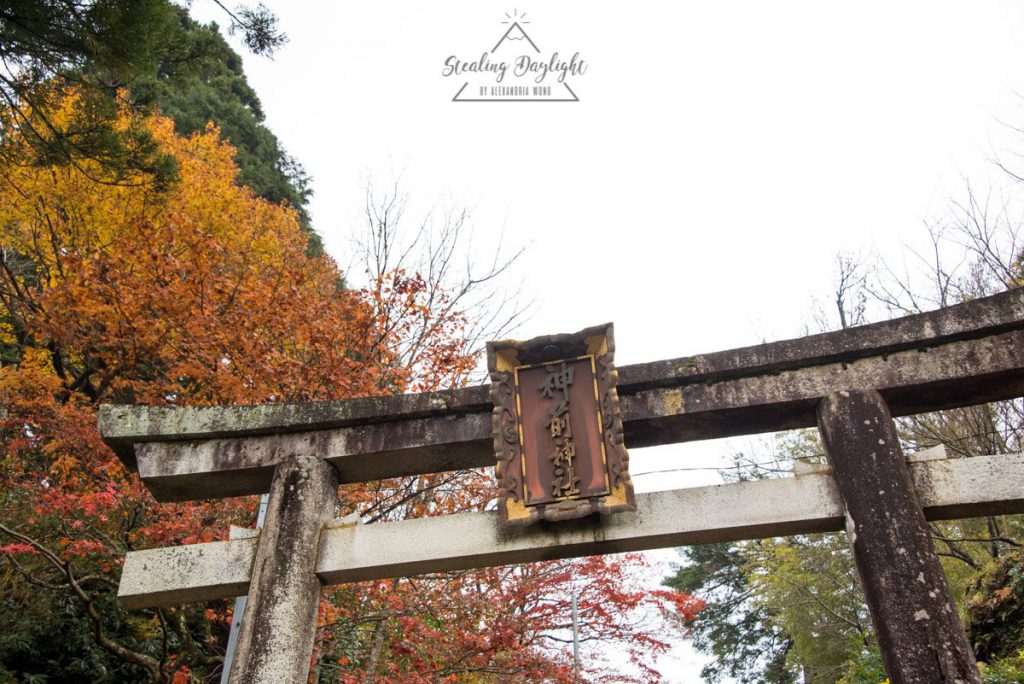 滋賀 神前神社 紅葉