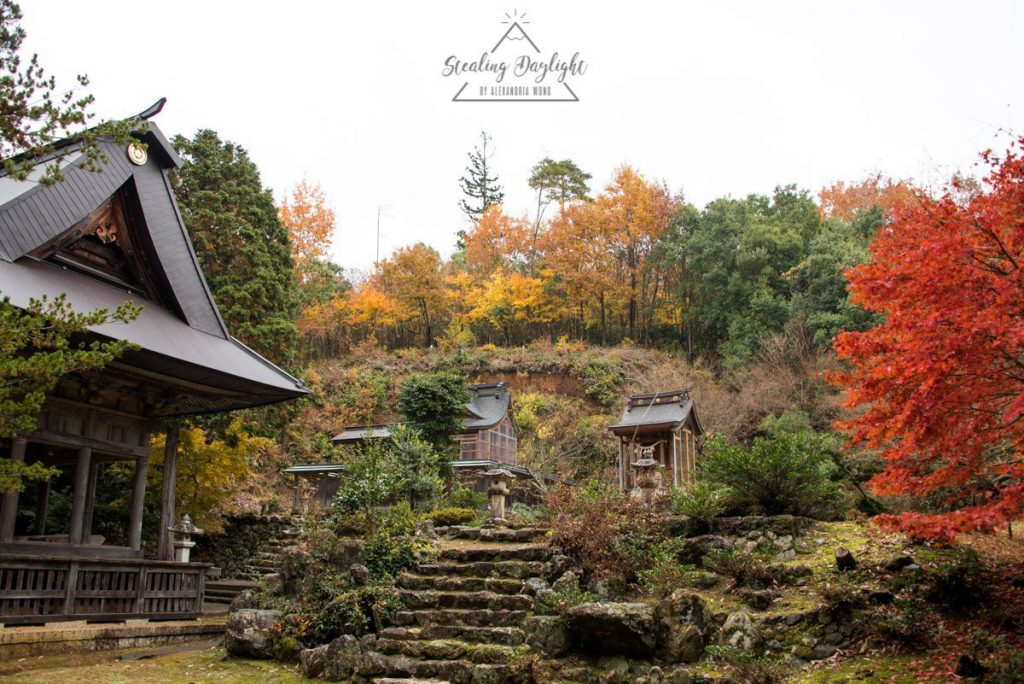 滋賀 神前神社 紅葉