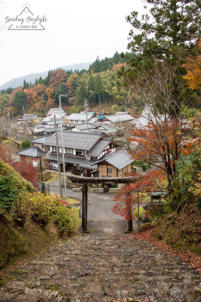 滋賀 神前神社 紅葉