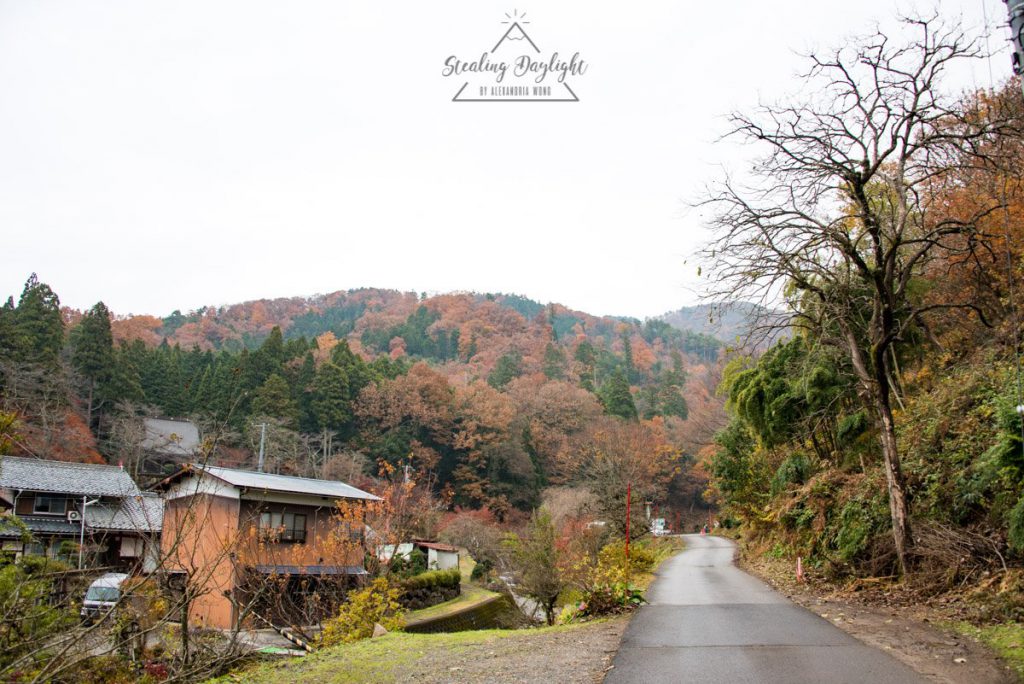 滋賀 石道寺 紅葉