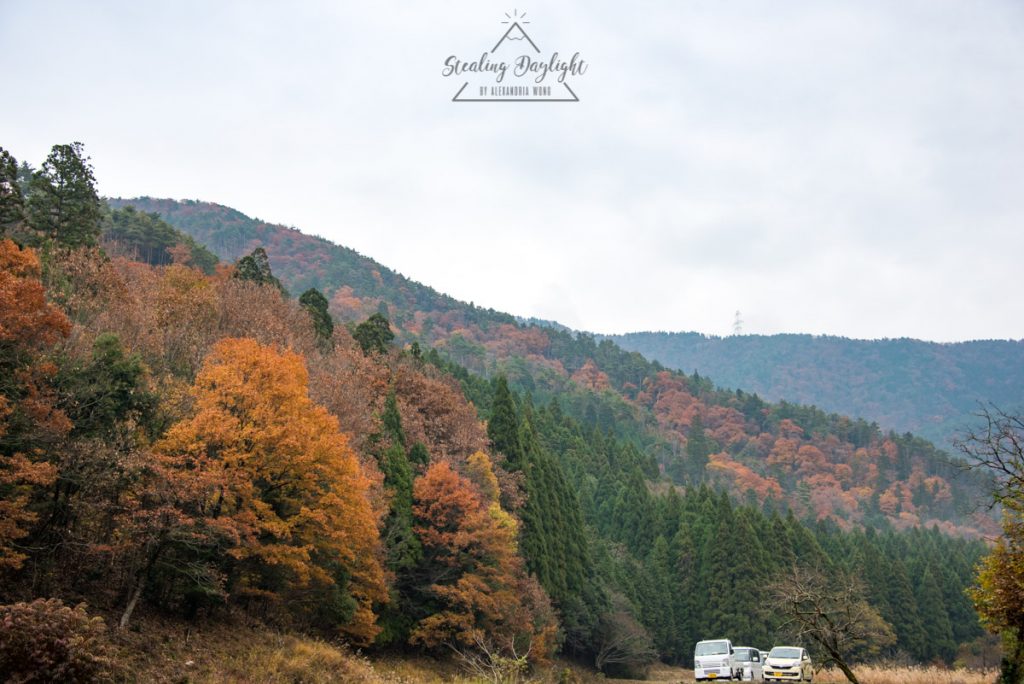 滋賀 石道寺 紅葉