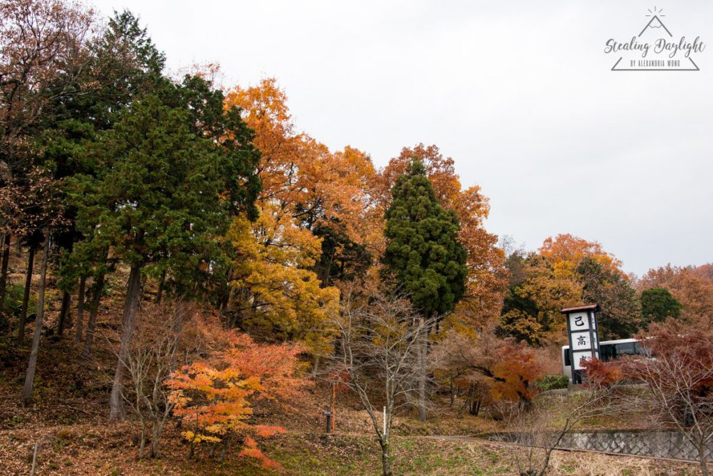 滋賀 雞足寺 紅葉