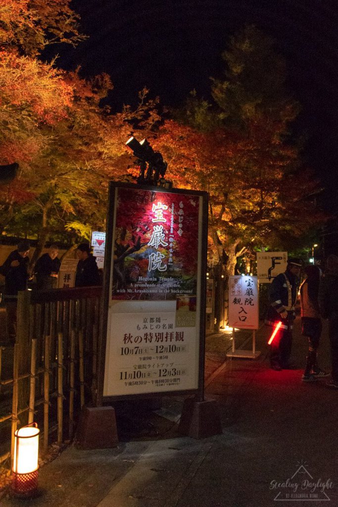 京都 寶嚴院 紅葉 夜間拜觀
