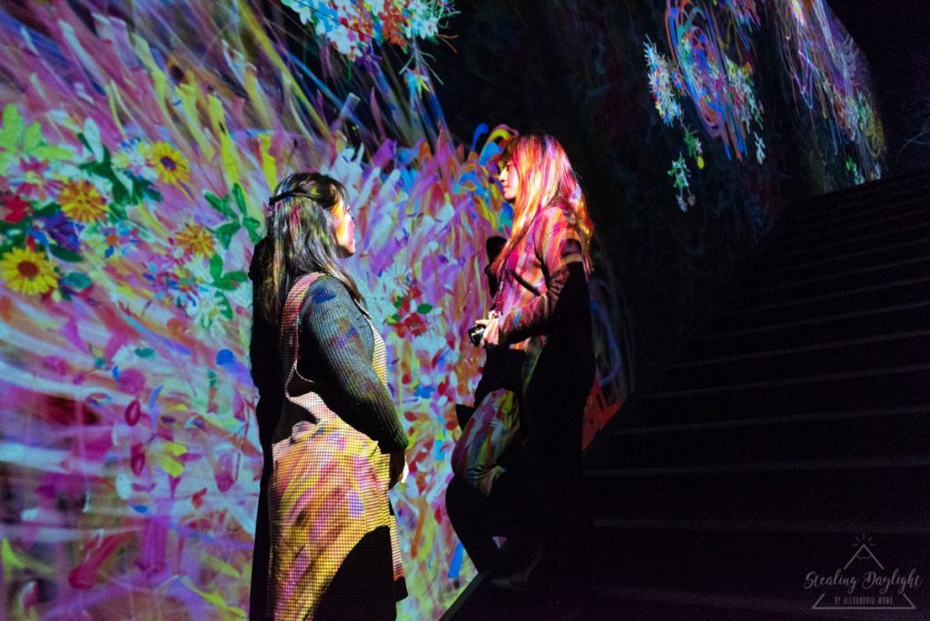 東京 台場 teamLab Borderless Athletics Forest